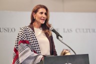 Sanciones económicas y embargo de armas a Israel, exige embajadora Nadya Rasheed