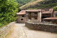 El misterioso animal que muchos temen escuchar en plena noche en Cantabria