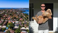 Home Guarantee Scheme expanded as government backs Australian first-home buyers armed with 5 per cent deposit