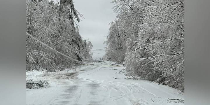 FEMA denies Michigan’s appeal for disaster aid after March ice storm