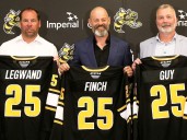 Sarnia Sting planning arena upgrades