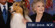June Lockhart, beloved mother from ‘Lassie’ and ‘Lost In Space,’ dies at 100