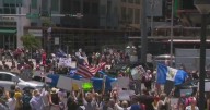 Protesters rally across South Florida for "No Kings" protests