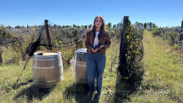 Participan 358 emprendedores en Programa para el Fomento de los Agronegocios y del Valor Agregado