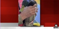 Police rescue trapped duck from Brunswick Lake