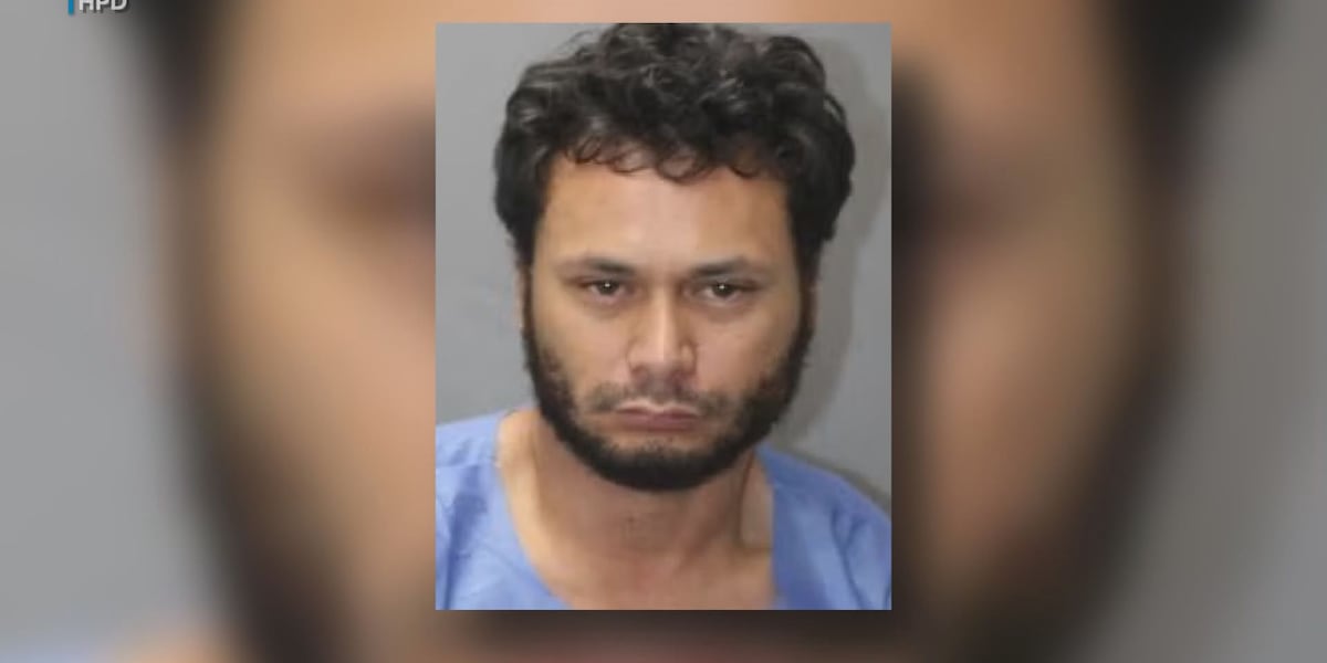 Suspect in Hawaii Island crime spree has history of property damage offenses