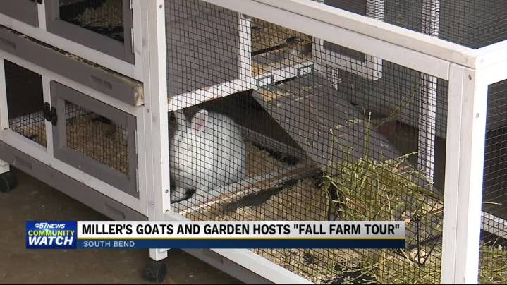 Annual Miller's Farm tours Sunday