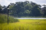 Column: Virginia must act to save endangered coastal wetlands