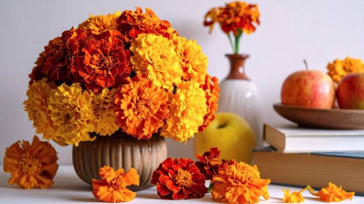 Más allá de una ofrenda para el Día de los Muertos: qué significa regalar un ramo de cempasúchil