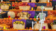 ¿Cómo se hace un altar de muertos? ¡Los básicos para lograrlo!