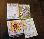 Your first step to saving seeds: A beginner’s guide