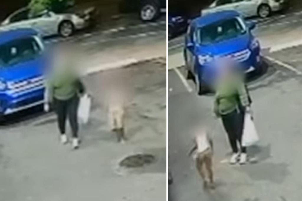 Autistic boy, 5, found wandering outside NYC laundromat while mom tied to alleged home invasion