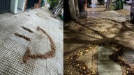 Una vecina barre las hojas de la vereda y las transforma en mensajes positivos