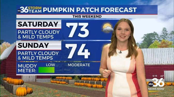 A chilly Friday morning with a warmer weekend ahead