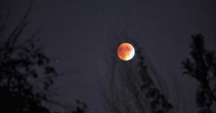 4 Zodiac Signs Set for Major Growth During October’s Harvest Supermoon