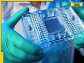 Jeevan Bandharapu Redefines Reliability in Healthcare Technology
