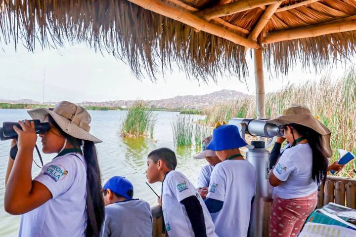 Humedal Pantanos de Villa invita a “la mayor fiesta mundial” del avistamiento de aves