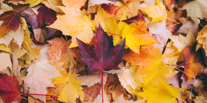 Fall Mystic Market of Southeast Mo. set for Oct. 25