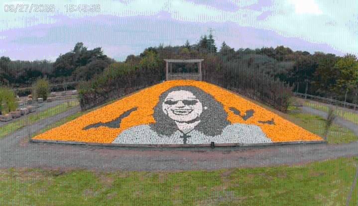 Farm honors late heavy metal icon Ozzy Osbourne with mural made of hundreds of pumpkins 