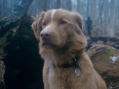 The 'Good Boy' ending is one of the most heartfelt things you'll see this year