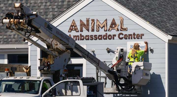 Buttonwood Park Zoo to open new center, introduce new surprise residents