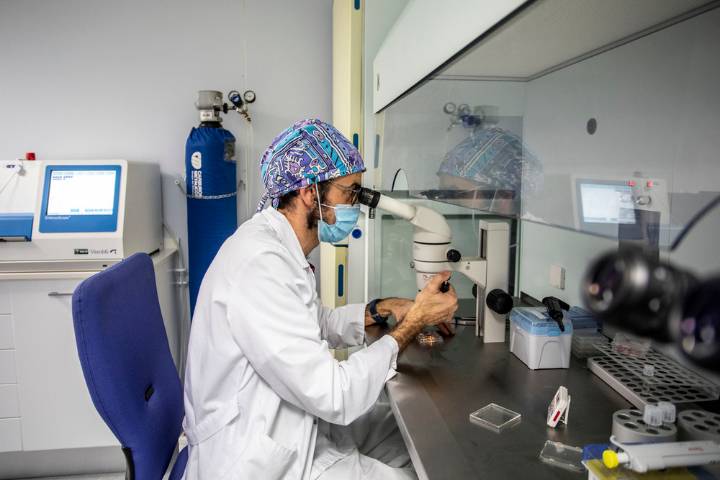 El 70% de los accidentes de trabajo en el Seris son biológicos