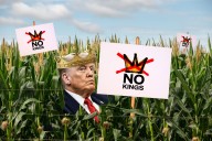 Rural No Kings, anti-Trump protests: Do they work?