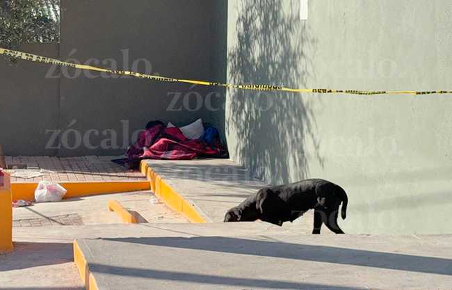 Muere migrante en la colonia Bellavista frente a sus dos perritos