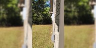 Coyote caught on video in Hinesville neighborhood