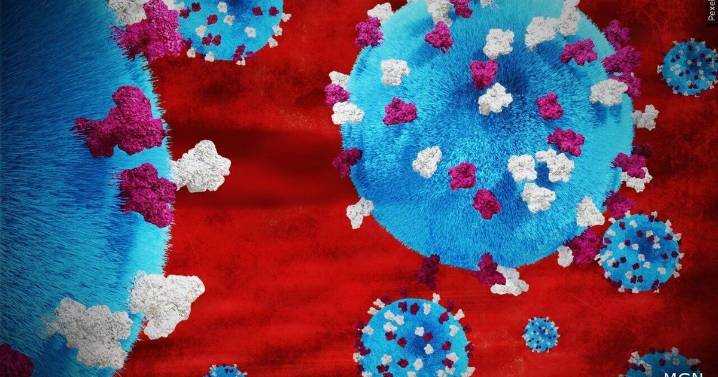 Measles cases surge in Twin Cities: Unvaccinated at risk