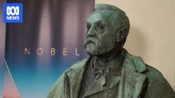 Scientists win Nobel Prize in Physics for discoveries in quantum mechanics