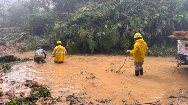 Estados Afectados por las Lluvias en México: ¿Dónde Hay Más Daños y Muertos?