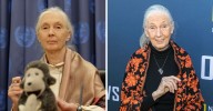 Conservationist And Anthropologist Jane Goodall Dies At 91