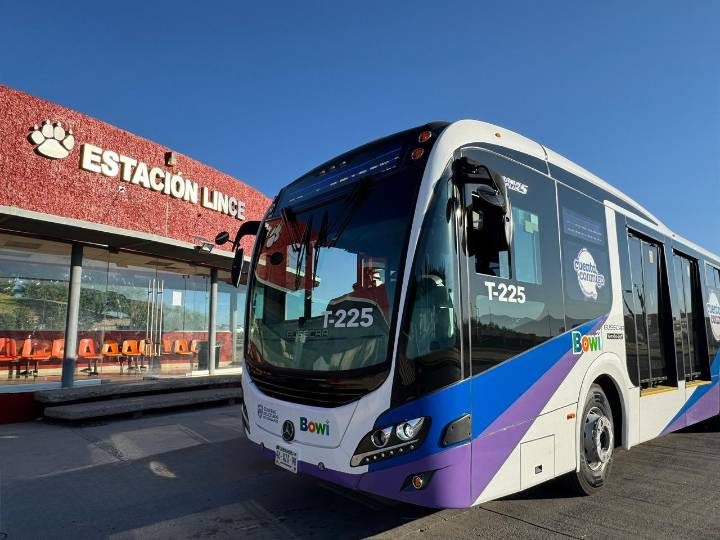 Bowí inicia campaña de credencialización en Conta