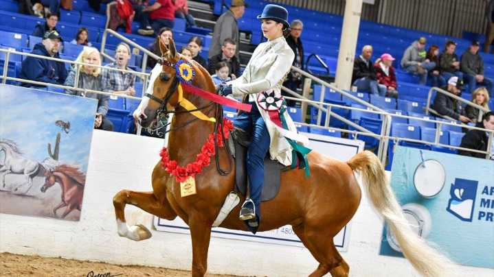 Must-see Arizona events: 18 local favorites to add to your calendar