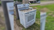 Texas Flood Cleanup Crew Opens Oven And Discovers A Fluffy Survivor Inside