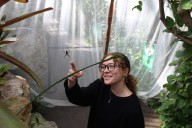 Butterfly Pavilion offers spooky-season cure for 8