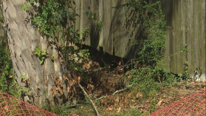 Residents voice concerns over sinkholes in backyard