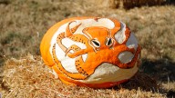 Great Pumpkin Carve of 2025 features one