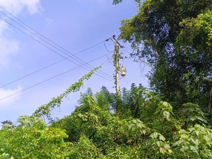 Voz Comunitaria | La ausencia de transporte público complica la vida de habitantes de Moropocualito en Guanta