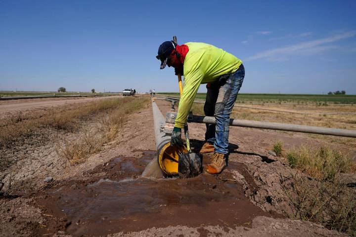 Lake Mead’s cheapest water savings could be come from agriculture, study suggests