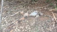 Skeleton found in Ponmudi reservoir, probe underway