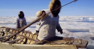 Inupiat whaling: 'A cultural linchpin' for Alaskan native communities