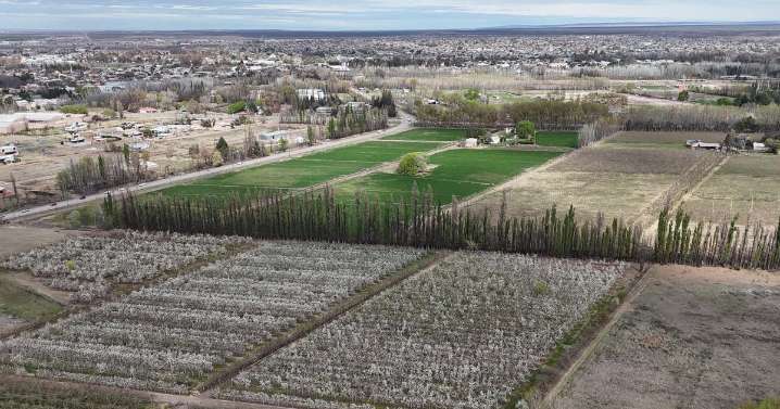Centenario quiere ser la capital del agroturismo en Neuquén