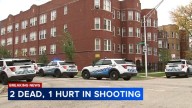 Chicago shooting: 3 shot, 2 fatally, in Auburn Gresham shooting: CPD