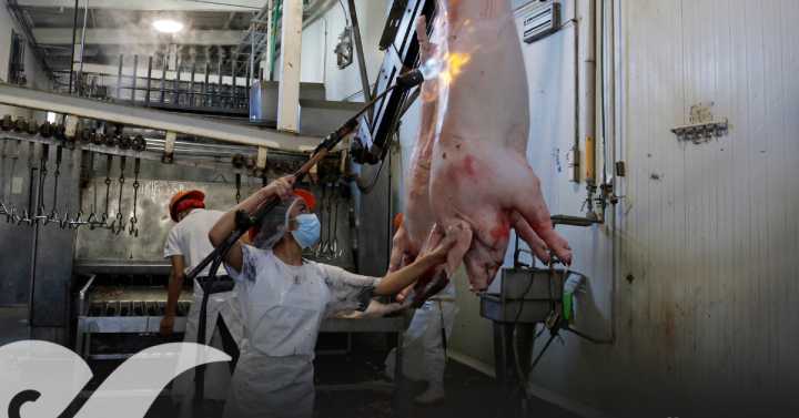 Retiran carne de Soriana, Bodega Aurrerá y mercado Independencia a unos días de caducar