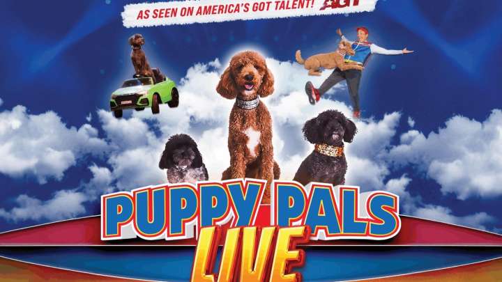 BG-WC Humane Society giving away tickets to ‘Puppy Pals Live’ at SKYPAC