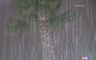 City Issues Over 100 Evacuation Orders From Palisades During Major Rainfall