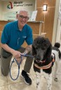 Pet therapy dogs bring comfort, smiles back to Abrazo Arrowhead