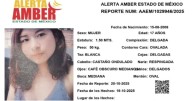 Desaparecen dos menores en el Edomex: Activan Alerta Amber urgente HOY